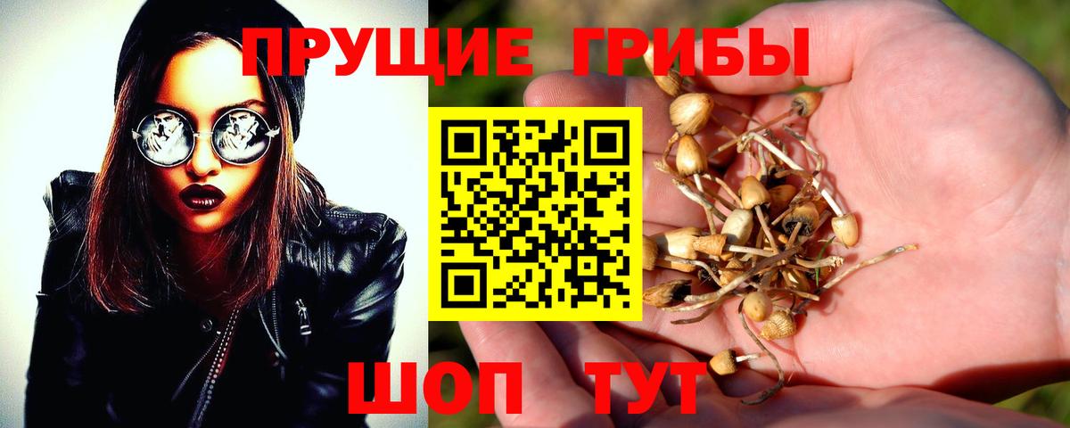 Отрадное  Галлюциногенные грибы Psilocybine cubensis  Галлюциногенные грибы GOLDEN TEACHER  закладка  Вход с VPN 